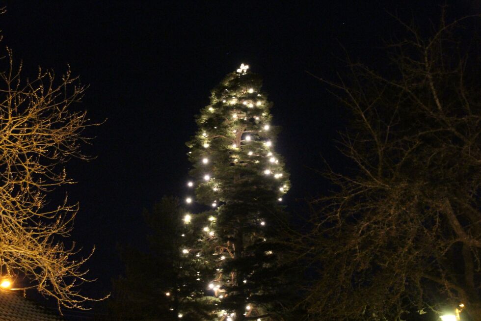JULETEGN: Når julestjerna lyser fra treet til Apalløkka og omegn Vel, da vet man juletida er her.